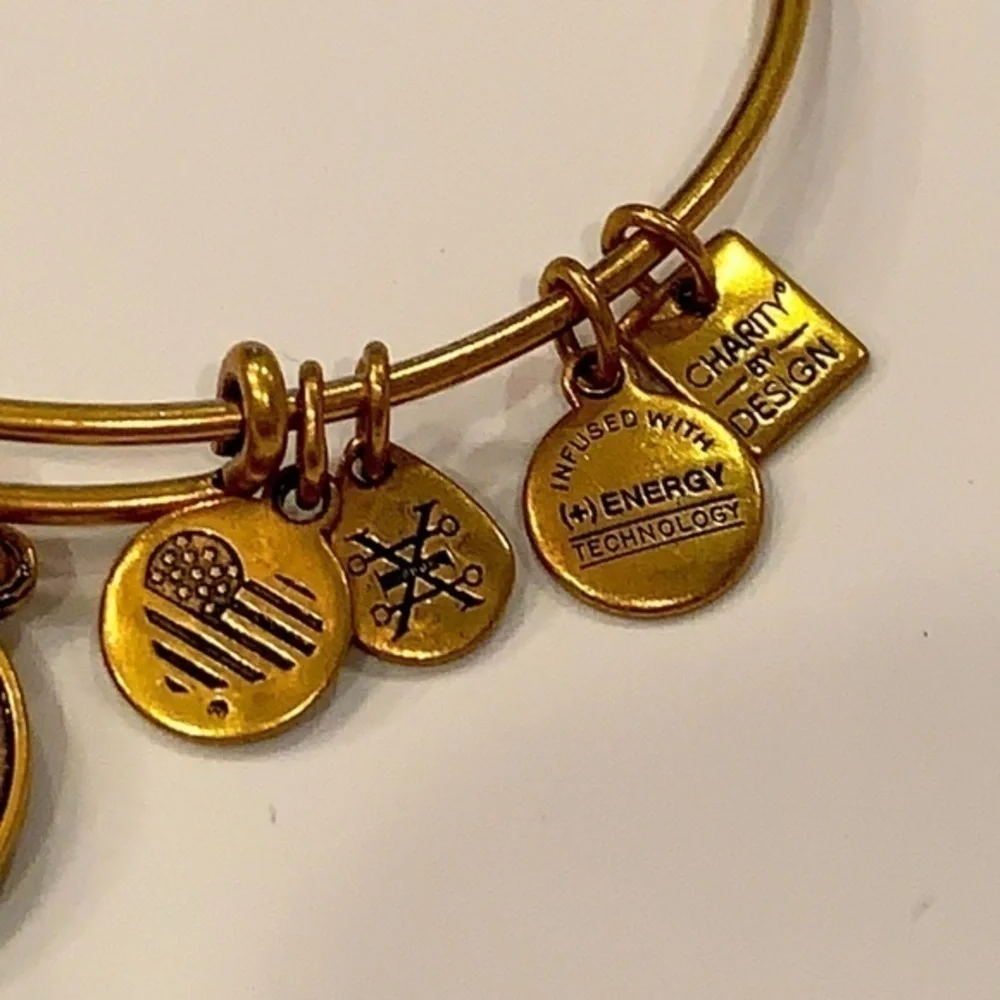 Alex and ani gold tone medallion 2016 sun